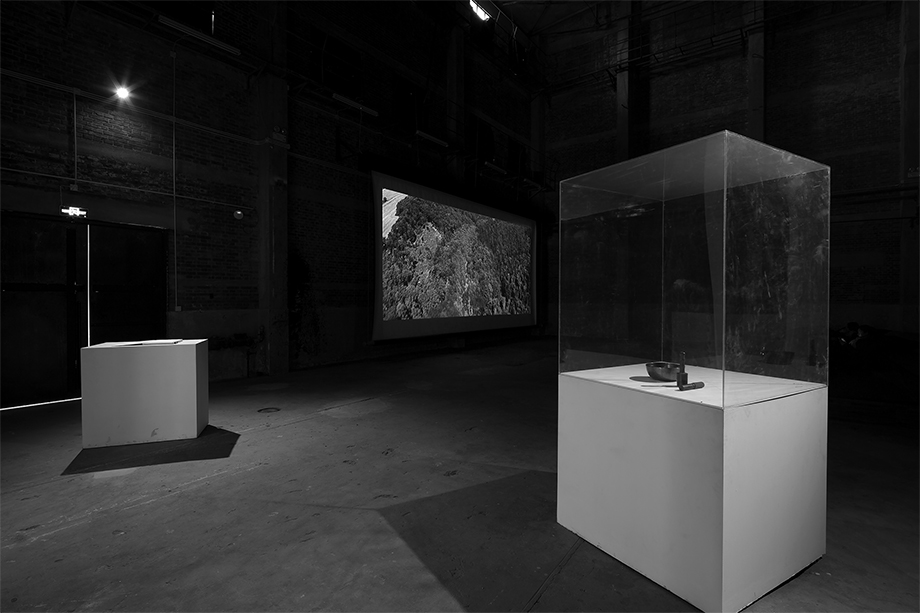 Burkhard von Harder - NARBE DEUTSCHLAND | SCAR GERMANY - World Premiere Part 2 - Being3 Gallery Beijing